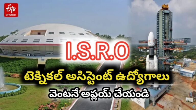 WhatsApp Image 2025-10-19 at 11.05.44_ca895048