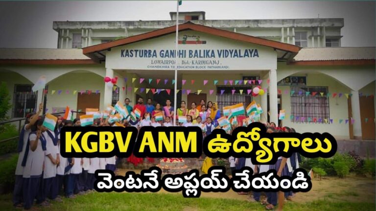 WhatsApp Image 2025-10-26 at 15.55.29_29b938f8