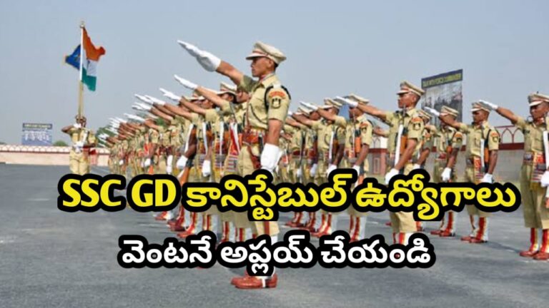 WhatsApp Image 2025-11-06 at 11.03.14_45e6f9ff