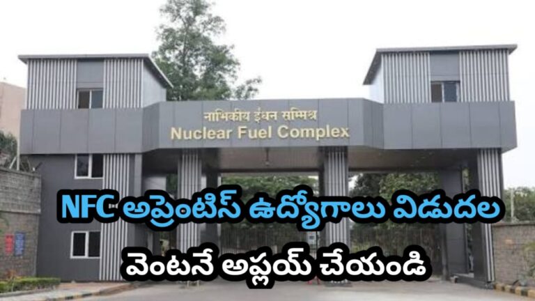 WhatsApp Image 2025-11-09 at 13.14.23_eacd28b5