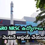 WhatsApp Image 2025-11-10 at 10.39.28_ddde2e46