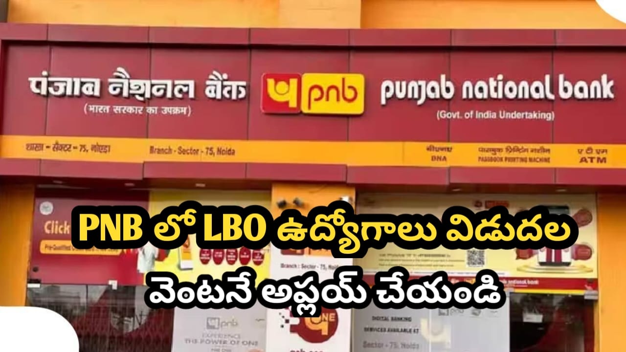 Punjab National Bank Recruitment 2025 – Apply Online for Local Bank Officer (LBO) Post