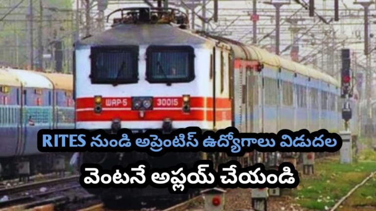 WhatsApp Image 2025-11-16 at 10.21.53_48442918