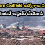 WhatsApp Image 2025-11-29 at 19.50.23_ef2bf55b