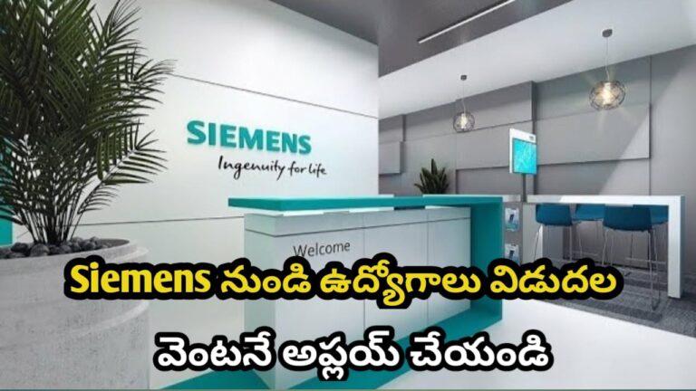 WhatsApp Image 2025-11-30 at 11.01.28_914341e4